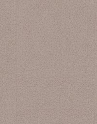 wgs0035 Gerflor Saga� Designbelag SL Spider Taupe...