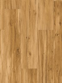 Parador Basic 5.3 Click Vinyl Eiche Memory natur...