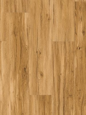 Muster: m-w1743003 Parador Basic 5.3 Click Vinyl...