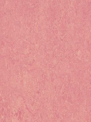 Muster: m-wmr3268-2,5 Forbo Marmoleum Real Linoleum...