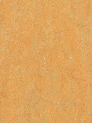 wmr3847-2,5 Forbo Marmoleum Real golden saffron Linoleum...