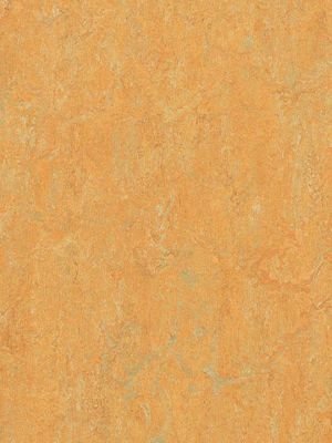 Muster: m-wmr3847-2,5 Forbo Marmoleum Real Linoleum...