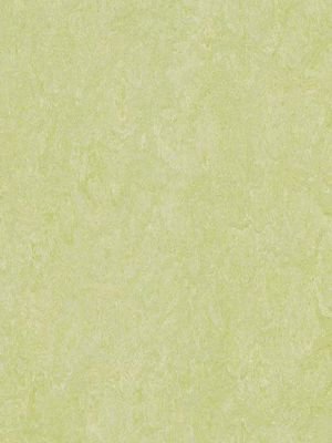 wmr3881-2,5 Forbo Marmoleum Real green wellness Linoleum...