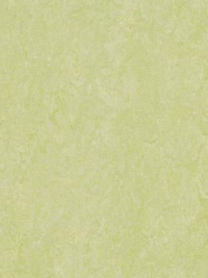Muster: m-wmr3881-2,5 Forbo Marmoleum Real Linoleum...