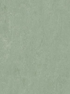 wmf3891-2,5 Forbo Marmoleum Fresco sage Linoleum Naturboden