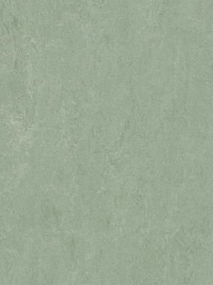 Muster: m-wmf3891-2,5 Forbo Marmoleum Fresco Linoleum...
