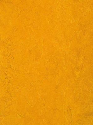 wmf3125-2,5 Forbo Marmoleum Fresco golden sunset Linoleum...