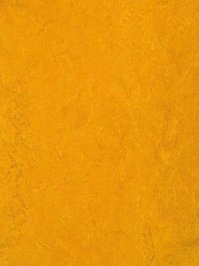 wmf3125-2,5 Forbo Marmoleum Fresco golden sunset Linoleum...