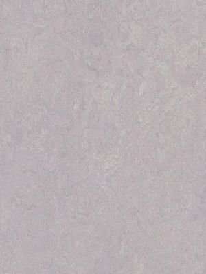 Muster: m-wmf3266-2,5 Forbo Marmoleum Fresco Linoleum...