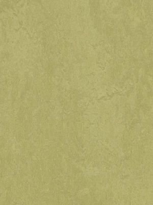 wmf3265-2,5 Forbo Marmoleum Fresco avocado Linoleum...