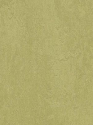 Muster: m-wmf3265-2,5 Forbo Marmoleum Fresco Linoleum...