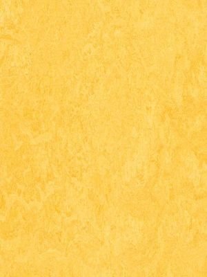 wmf3251-2,5 Forbo Marmoleum Fresco lemon zest Linoleum...