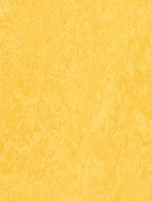 wmf3251-2,5 Forbo Marmoleum Fresco lemon zest Linoleum...