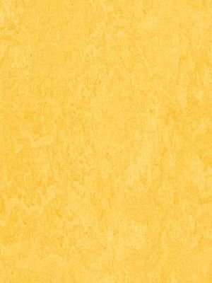 wmf3251-2,5 Forbo Marmoleum Fresco lemon zest Linoleum Naturboden