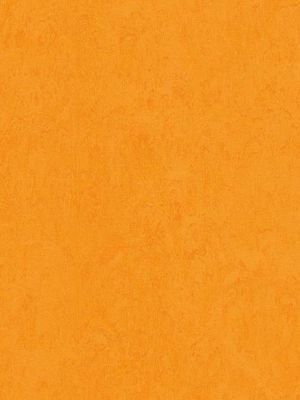 wmf3262-2,5 Forbo Marmoleum Fresco marigold Linoleum...