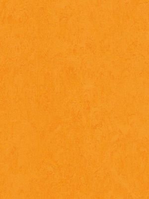 Muster: m-wmf3262-2,5 Forbo Marmoleum Fresco Linoleum...
