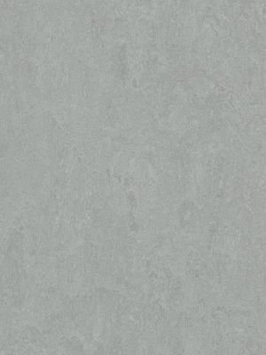 wmf3889-2,5 Forbo Marmoleum Fresco cinder Linoleum...