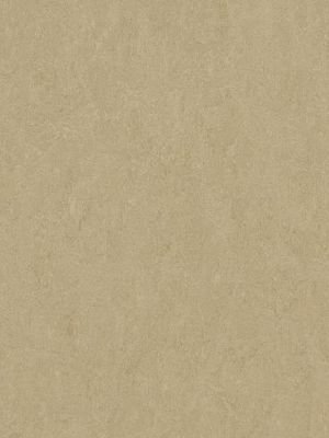 wmf3890-2,5 Forbo Marmoleum Fresco oat Linoleum Naturboden