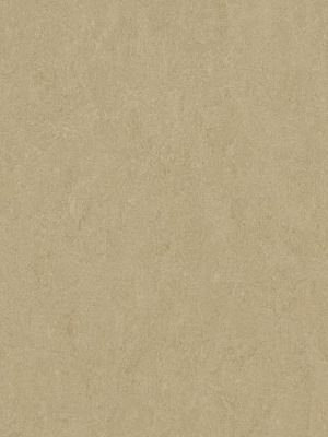 Muster: m-wmf3890-2,5 Forbo Marmoleum Fresco Linoleum...