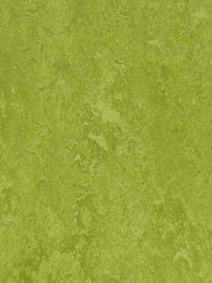 wmf3247-2,5 Forbo Marmoleum Fresco green Linoleum Naturboden
