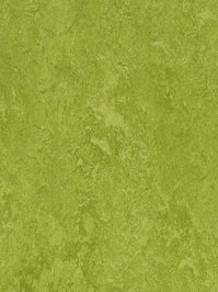 wmf3247-2,5 Forbo Marmoleum Fresco green Linoleum Naturboden