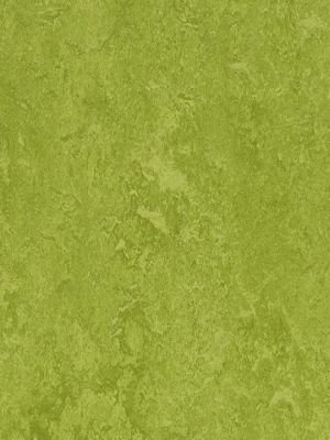 Muster: m-wmf3247-2,5 Forbo Marmoleum Fresco Linoleum...