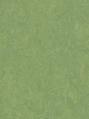 wmf3260-2,5 Forbo Marmoleum Fresco leaf Linoleum Naturboden