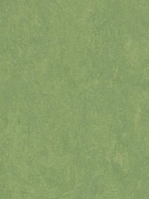Muster: m-wmf3260-2,5 Forbo Marmoleum Fresco Linoleum...
