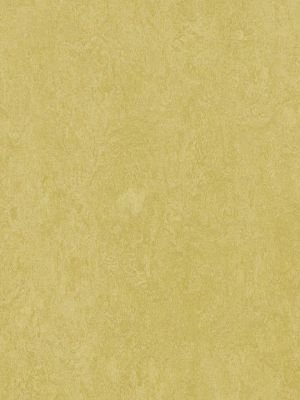 wmf3259-2,5 Forbo Marmoleum Fresco mustard Linoleum...