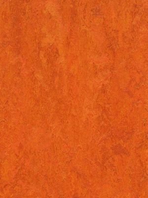 Muster: m-wmf3126-2,5 Forbo Marmoleum Fresco Linoleum...