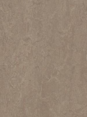wmf3246-2,5 Forbo Marmoleum Fresco shrike Linoleum Naturboden