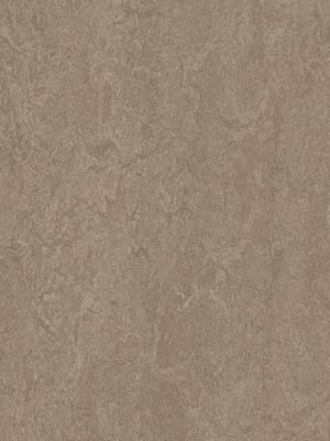 wmf3246-2,5 Forbo Marmoleum Fresco shrike Linoleum...