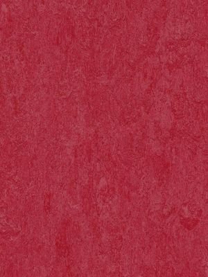 Muster: m-wmf3273-2,5 Forbo Marmoleum Fresco Linoleum...