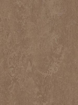 Muster: m-wmf3254-2,5 Forbo Marmoleum Fresco Linoleum...