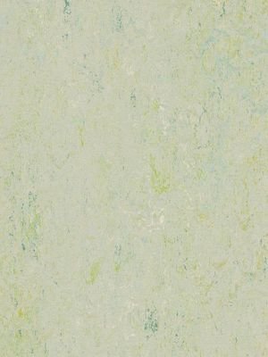wms3430-2,5 Forbo Marmoleum Splash salsa verde Linoleum...