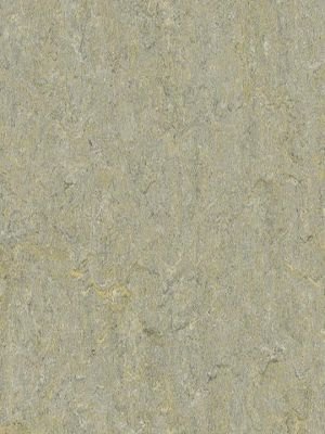 Muster: m-wmt5801-2,5 Forbo Marmoleum Terra Linoleum...