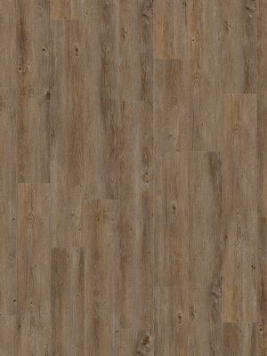 Gerflor Creation 55 Clic Buffulo Designbelag zum...
