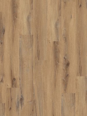 Muster: m-wGER60070850 Gerflor Creation 55 Clic...