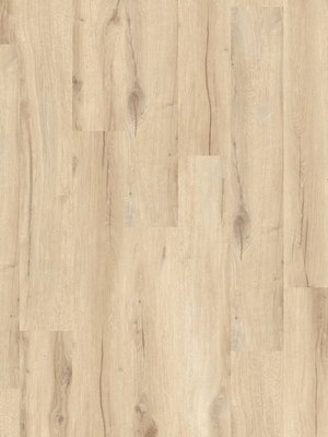 Gerflor Creation 55 Clic Cedar Pure Designbelag zum Verklicken wGER60070849