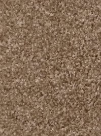 wPROZZA007 Profilor Prozza Teppichfliesen beige...