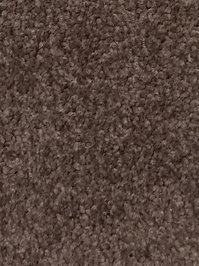 wPROZZA051 Profilor Prozza Teppichfliesen braun...