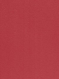 wProAN1200 Profilor Anolta Objekt Teppichboden Morgenrot