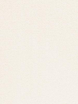 wProAN3300 Profilor Anolta Objekt Teppichboden Alabaster