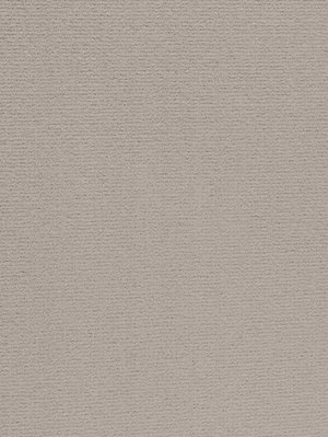 wProAN3400 Profilor Anolta Objekt Teppichboden Graubeige