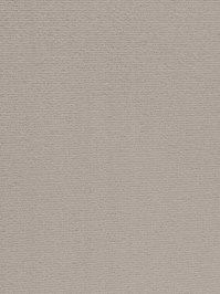 wProAN3400 Profilor Anolta Objekt Teppichboden Graubeige