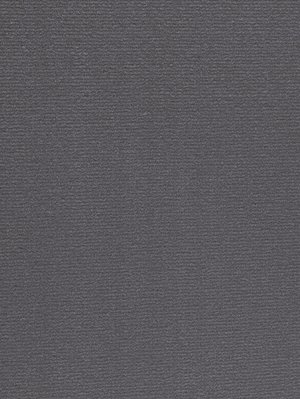 wProAN9800 Profilor Anolta Objekt Teppichboden Asphaltgrau