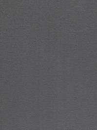 wProAN9800 Profilor Anolta Objekt Teppichboden Asphaltgrau