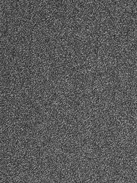 wProEL9800 Profilor Elovie Objekt Teppichboden Ackergrau