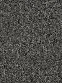 wProME29700 Profilor Merati Objekt Teppichboden Asphaltgrau