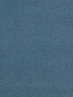 wProFE17300 Profilor Fessorti Objekt Teppichboden Stahlblau
